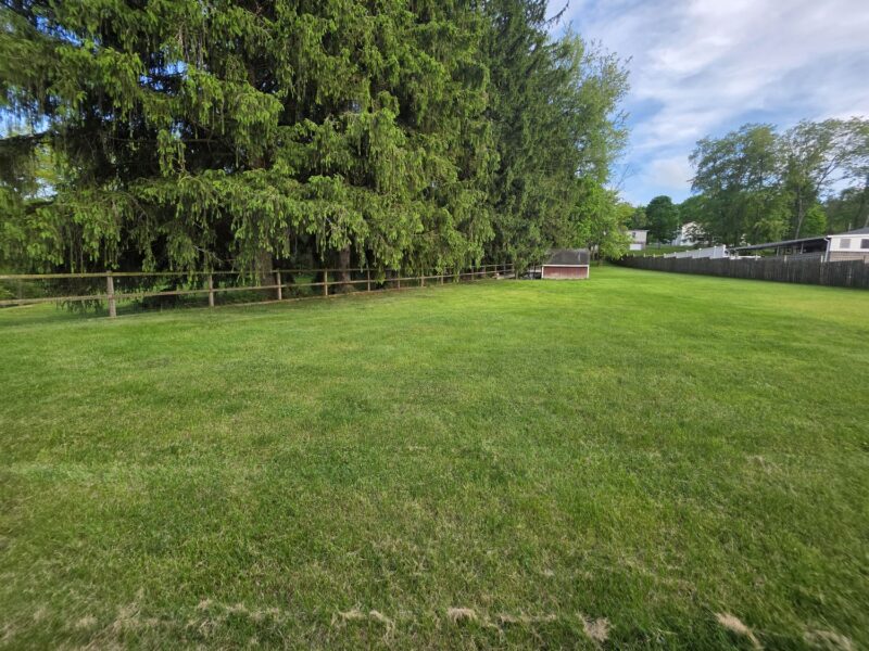 20 Jupiter STREET — photo 4