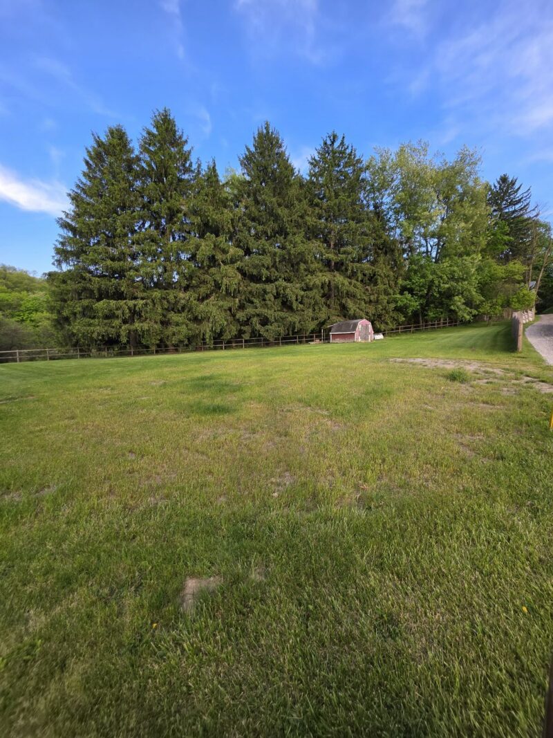 20 Jupiter STREET — photo 6