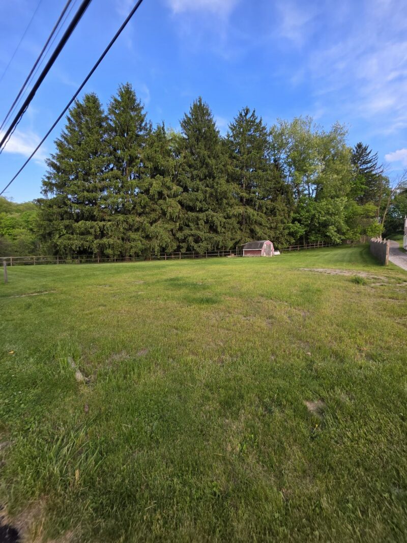 20 Jupiter STREET — photo 7