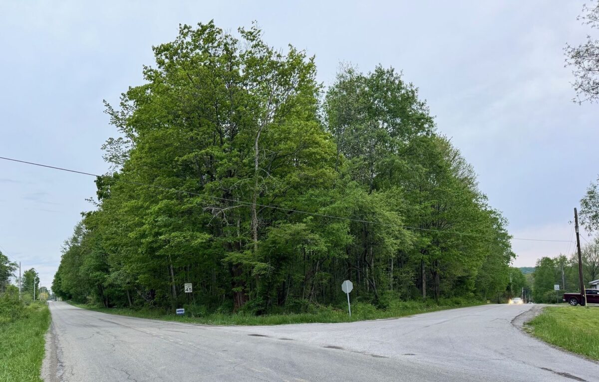 Lot B Lake Road and Elmwood STREET — photo 1