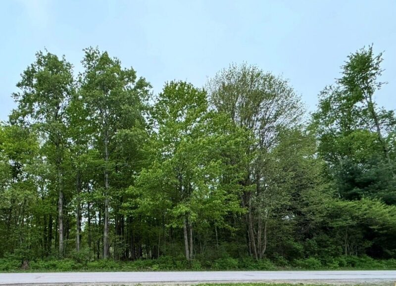 Lot B Lake Road and Elmwood STREET — photo 2