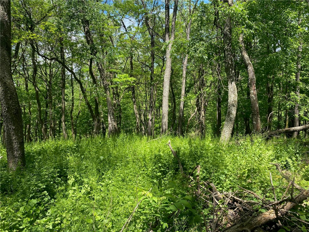 LOT Wexford Bayne Road — photo 1