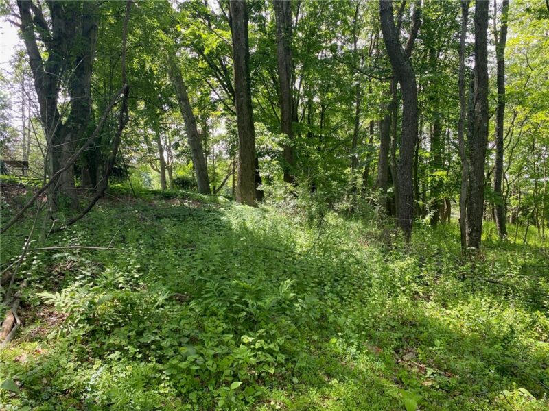 LOT Wexford Bayne Road — photo 2
