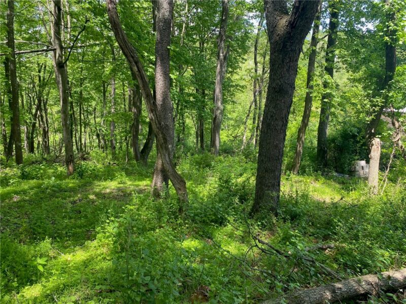 LOT Wexford Bayne Road — photo 4