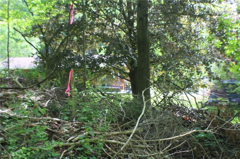 LOT Wexford Bayne Road — photo 5