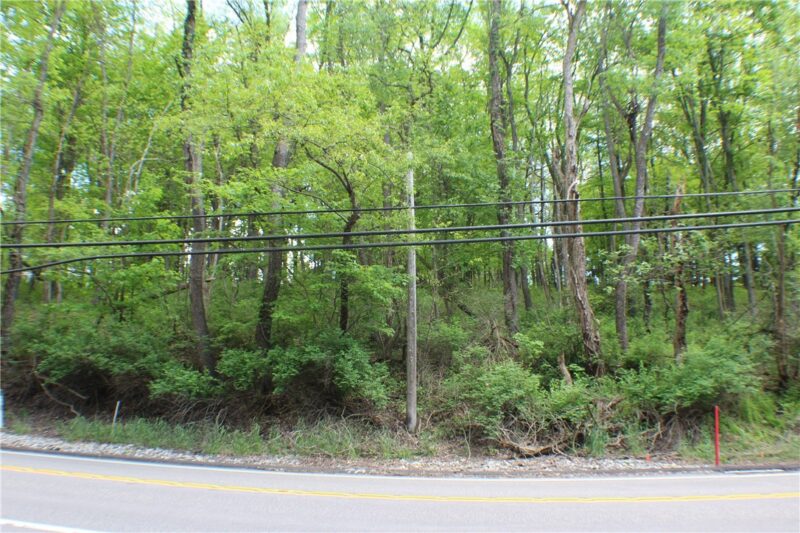 LOT Wexford Bayne Road — photo 8