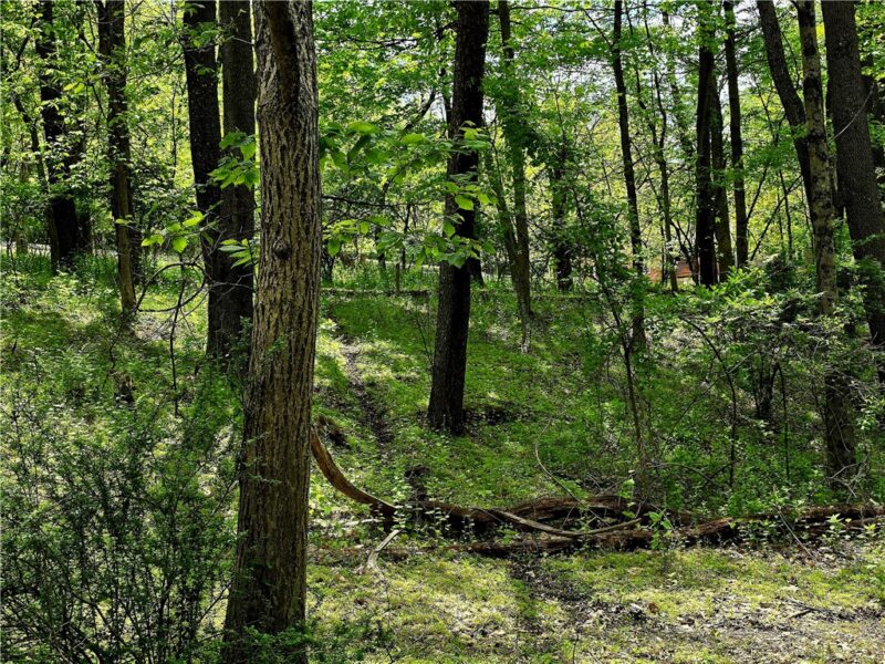 Lot 136 Brokers Lane — photo 3