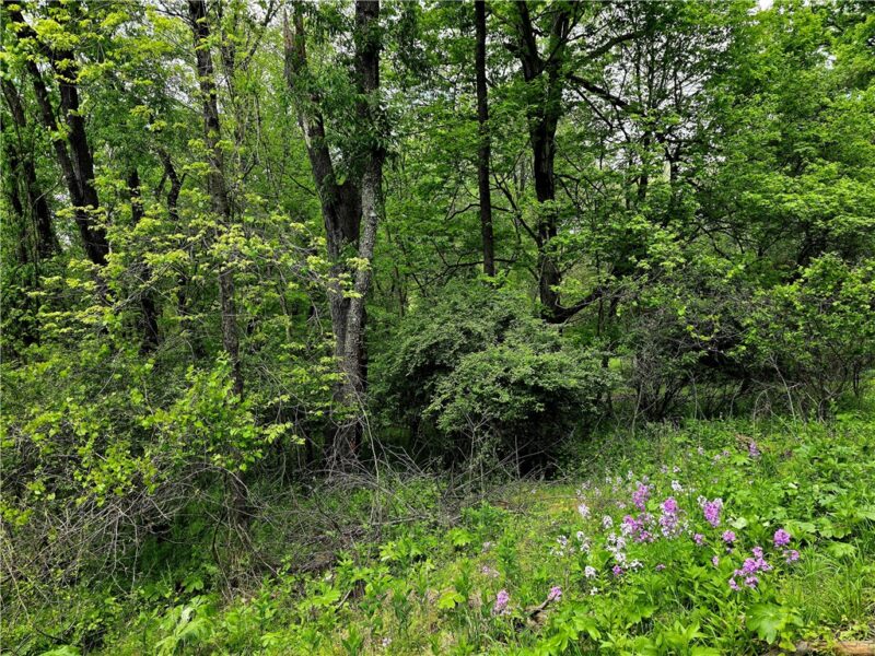 Lot 136 Brokers Lane — photo 4