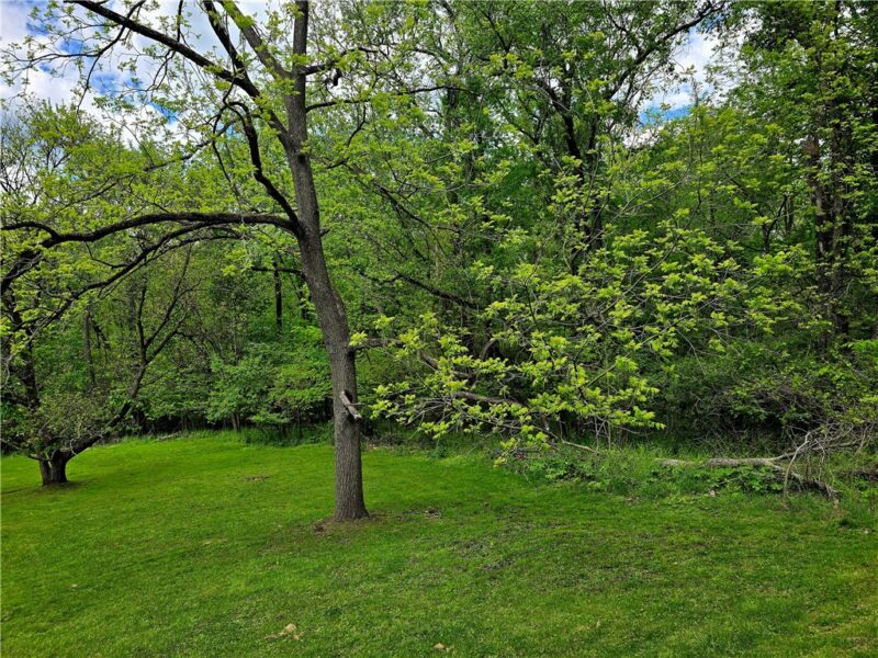 Lot 136 Brokers Lane — photo 6