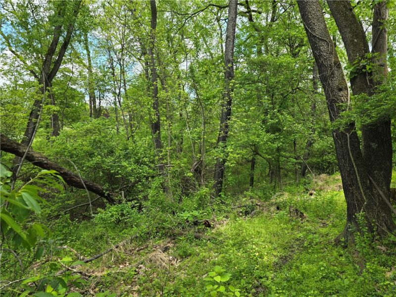 Lot 134 Brokers Lane — photo 2