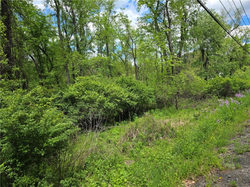 Lot 134 Brokers Lane — photo 3