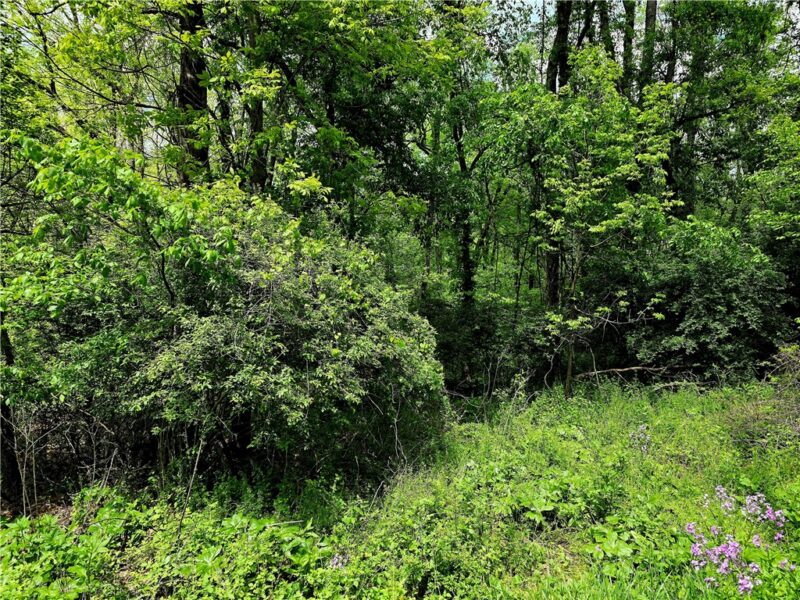 Lot 134 Brokers Lane — photo 5