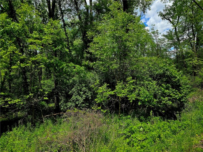 Lot 134 Brokers Lane — photo 6