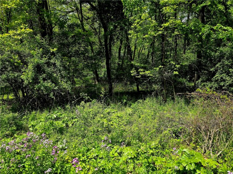 Lot 134 Brokers Lane — photo 7
