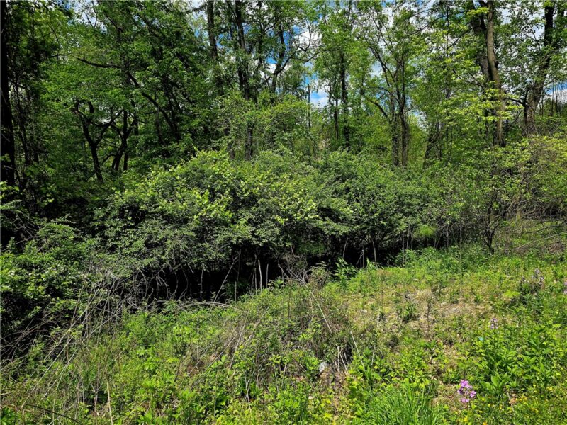 Lot 134 Brokers Lane — photo 8