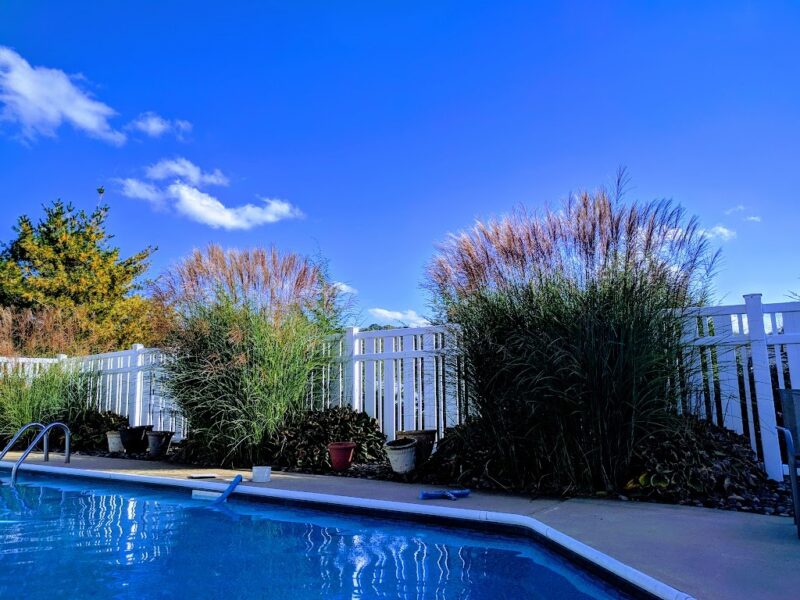 14 Autumnwood Court — photo 8