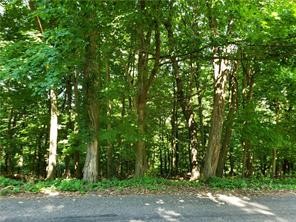 0 Shannon Road & Lynnbrook Drive — photo 1