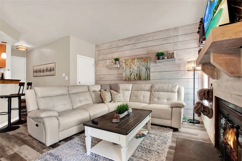 2405 Swiss Mountain Dr — photo 4