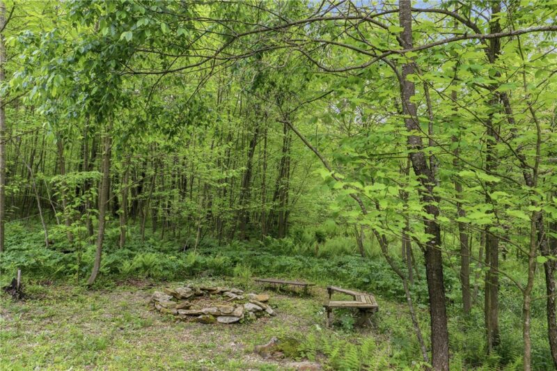 288 Ft Dewart Ln — photo 7