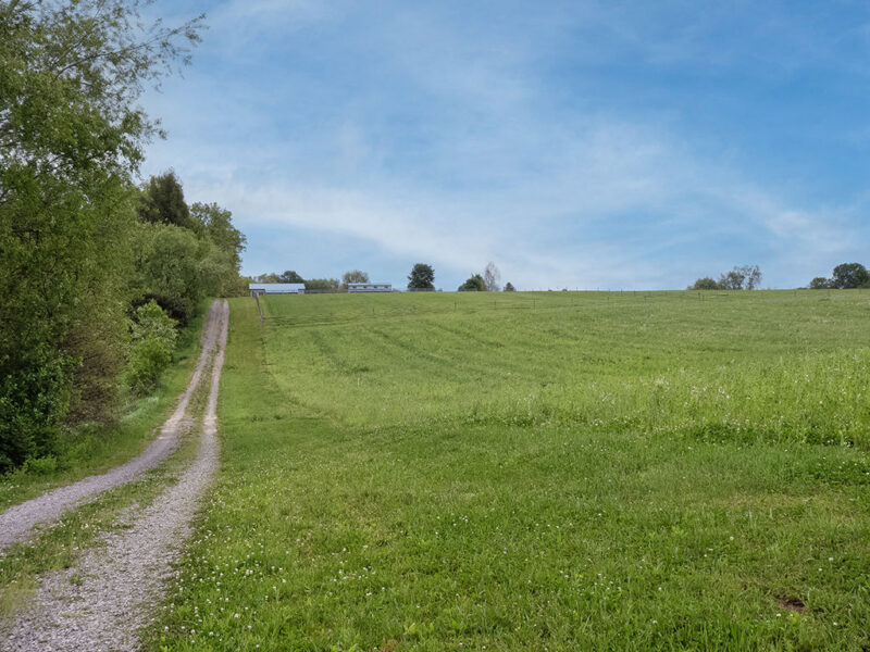 2412 Old Route 422 East E — photo 4