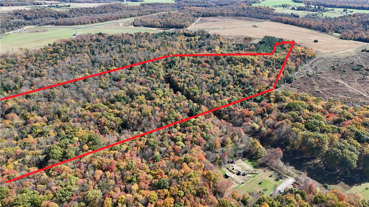 50 Acres along Bird Lane — photo 1