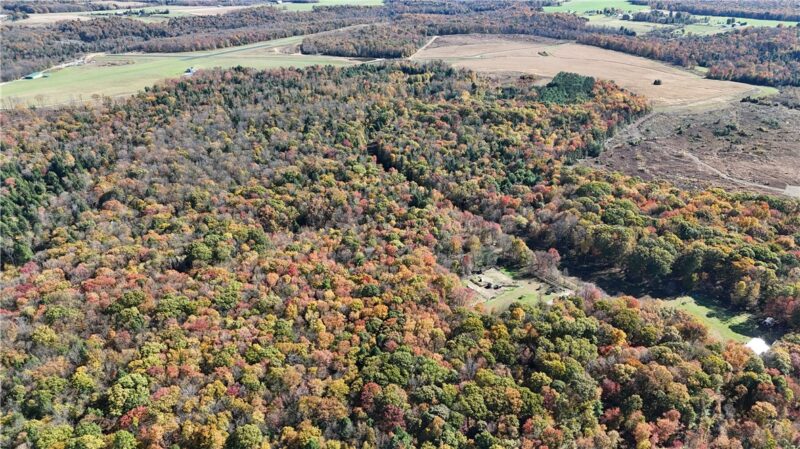 50 Acres along Bird Lane — photo 3
