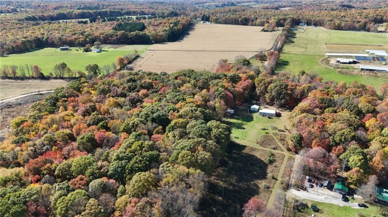 50 Acres along Bird Lane — photo 7