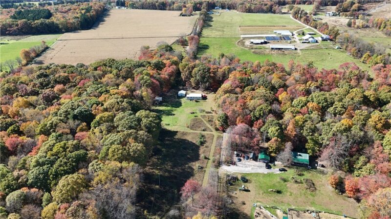 50 Acres along Bird Lane — photo 8