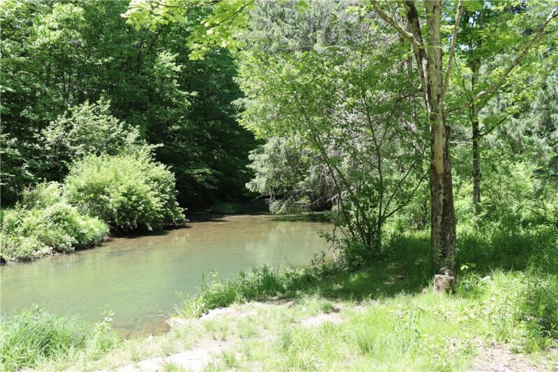 193 Creek Rd — photo 3