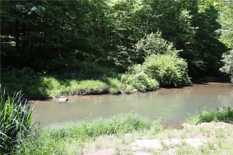 193 Creek Rd — photo 4