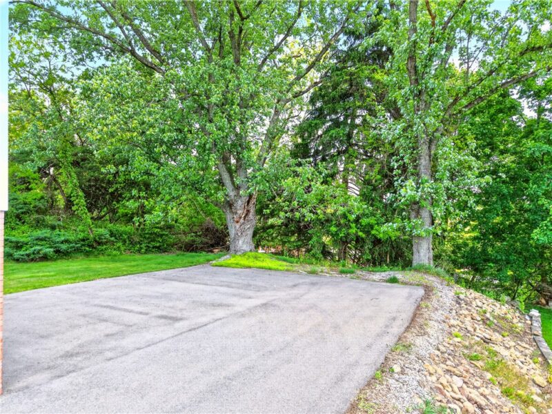 35 Frances Dr — photo 3