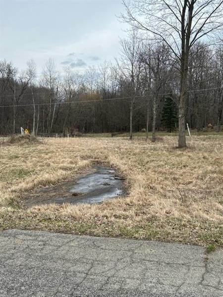 0 Troy Dr, Lot 2 — photo 4