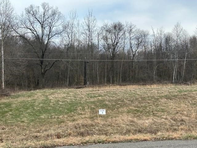0 Troy Dr, Lot 2 — photo 5