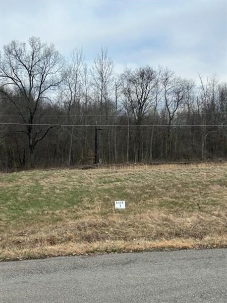 0 Troy Dr, Lot 3 — photo 3