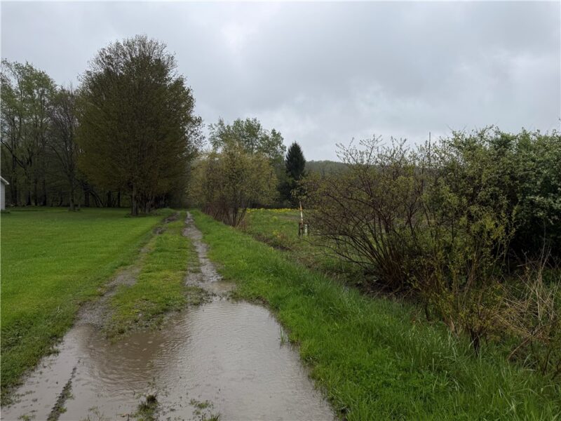 0 Dunn Valley Road — photo 3