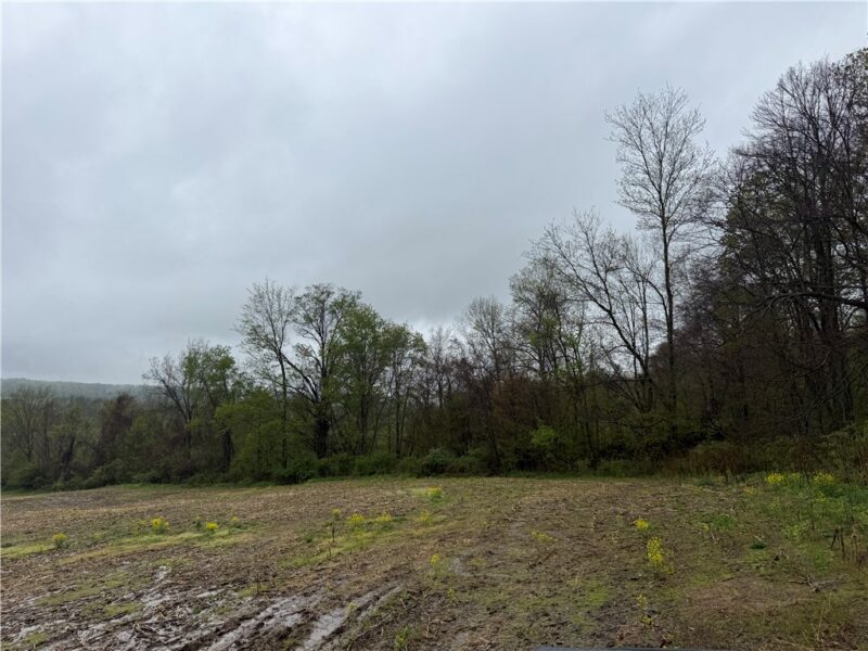 0 Dunn Valley Road — photo 7
