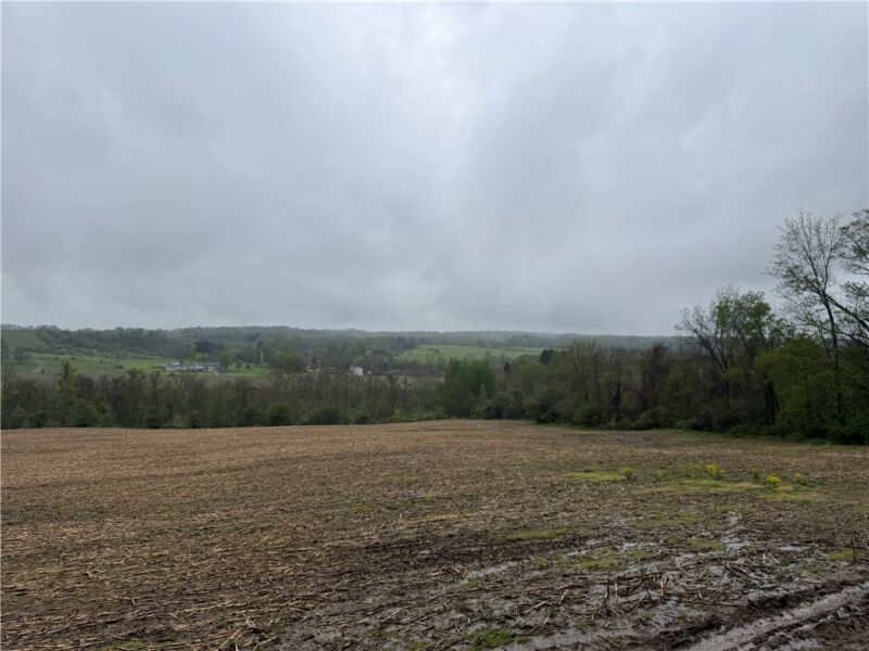 0 Dunn Valley Road — photo 8