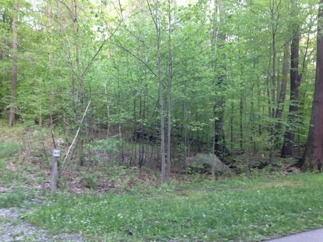 Lot 28 Grouse Point — photo 3
