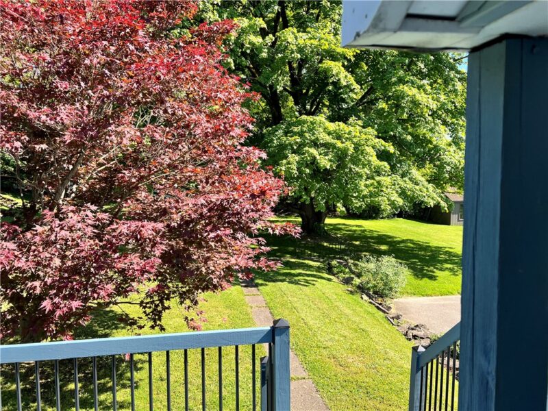 11 Evergreen Dr — photo 8