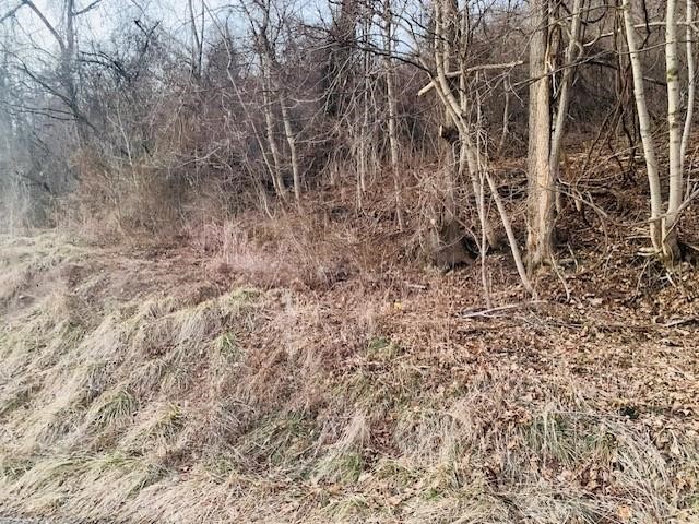 000 Virginia Ave — photo 3