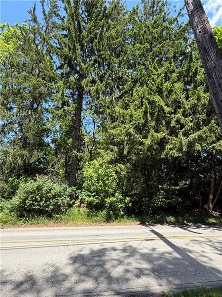 273 Horning Road — photo 2