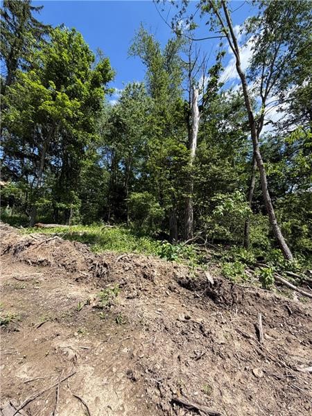 273 Horning Road — photo 4