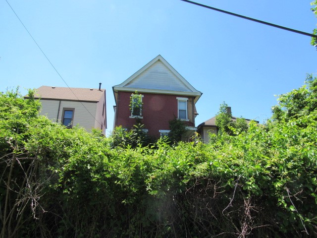 513 Park Street — photo 4