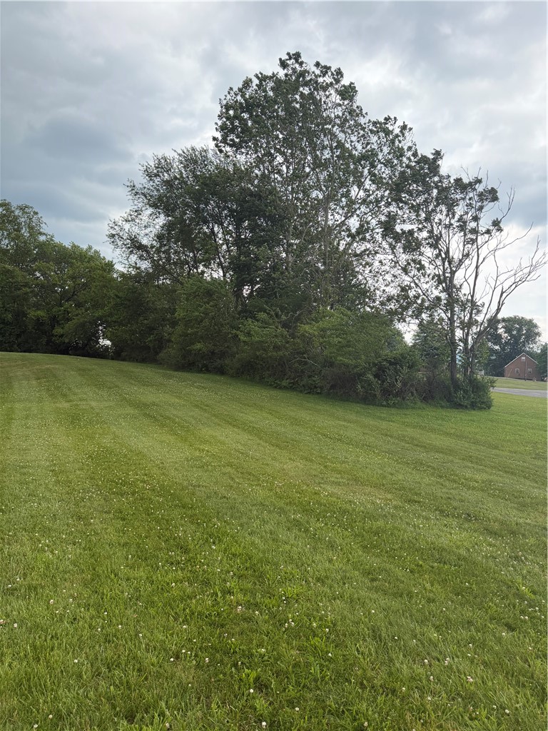 TBD School — photo 2