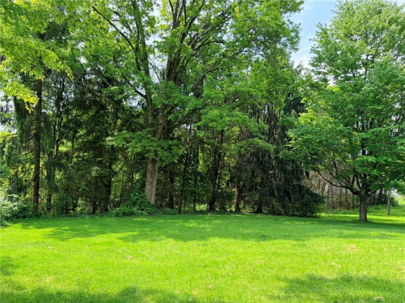 0 Williams Road — photo 3
