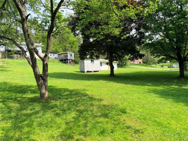 0 Williams Road — photo 4