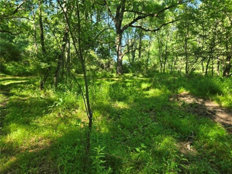 00 Hickory Rd — photo 2