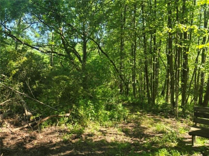 00 Hickory Rd — photo 3