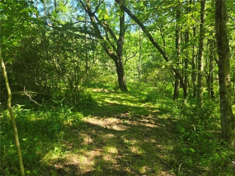 00 Hickory Rd — photo 4