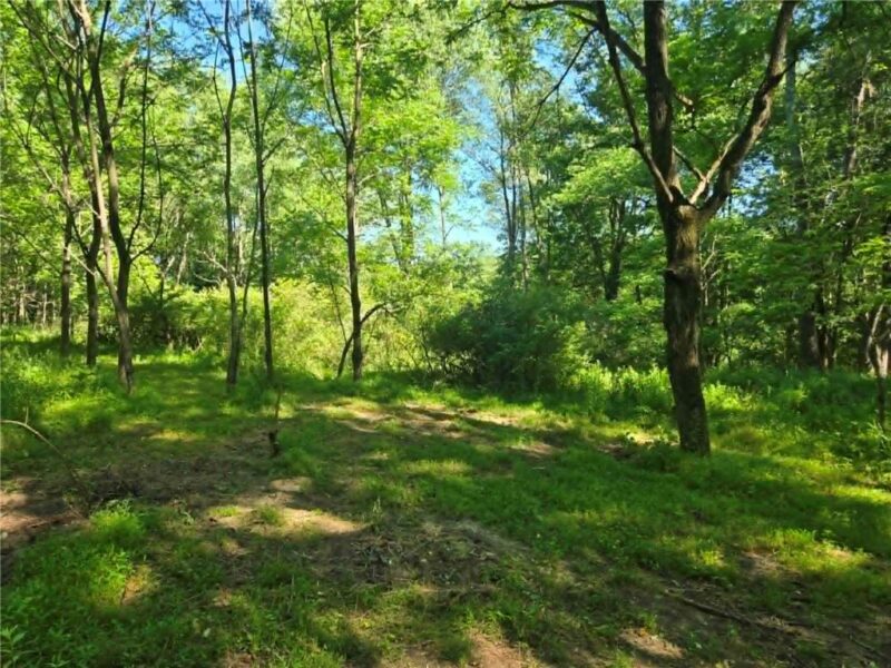 00 Hickory Rd — photo 7
